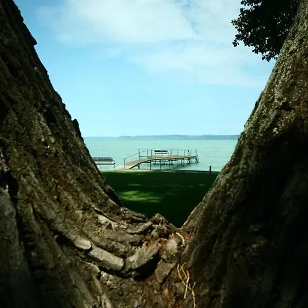 Tópart Hotel Balatonvilágos