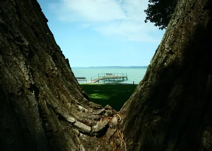 Topart ホテル Balatonvilágos